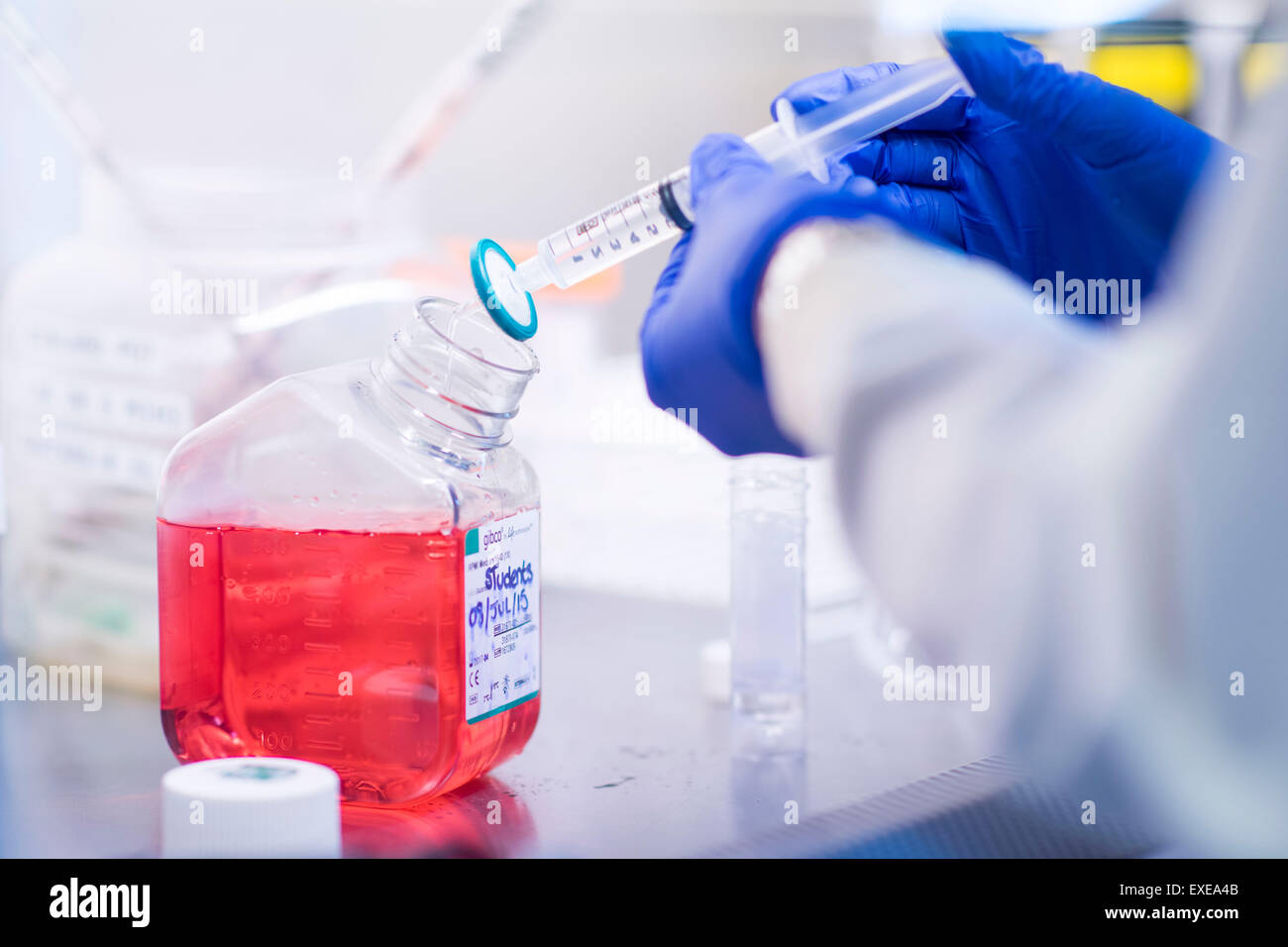 Drugs testing for cancer in a medical laboratory. Stock Photo