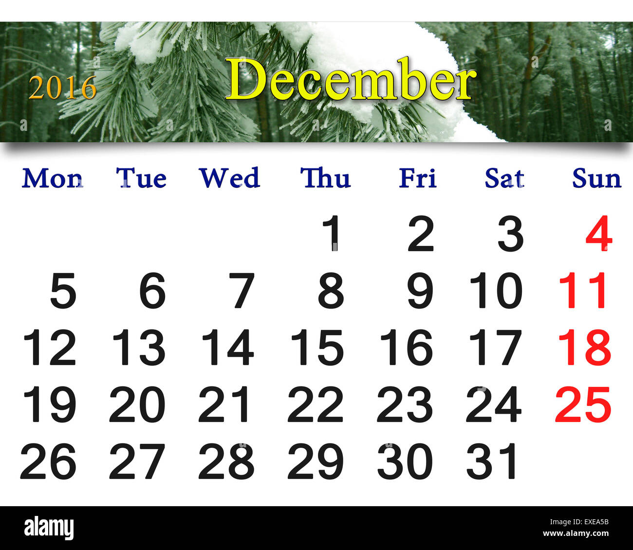 calendar for December 2016 on the background of snowy pines and hoarfrost on the trees Stock Photo