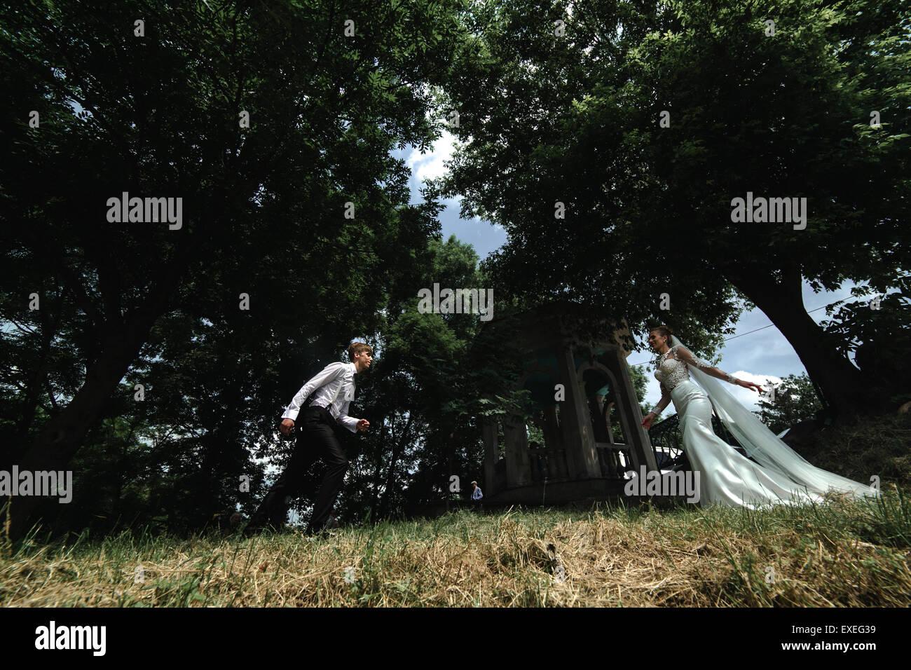 Bride and groom in the forest Stock Photo - Alamy