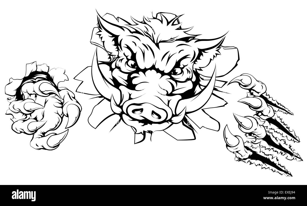 Boar claw breakthrough concept illustration of a boar mascot smashing out of the background Stock Photo