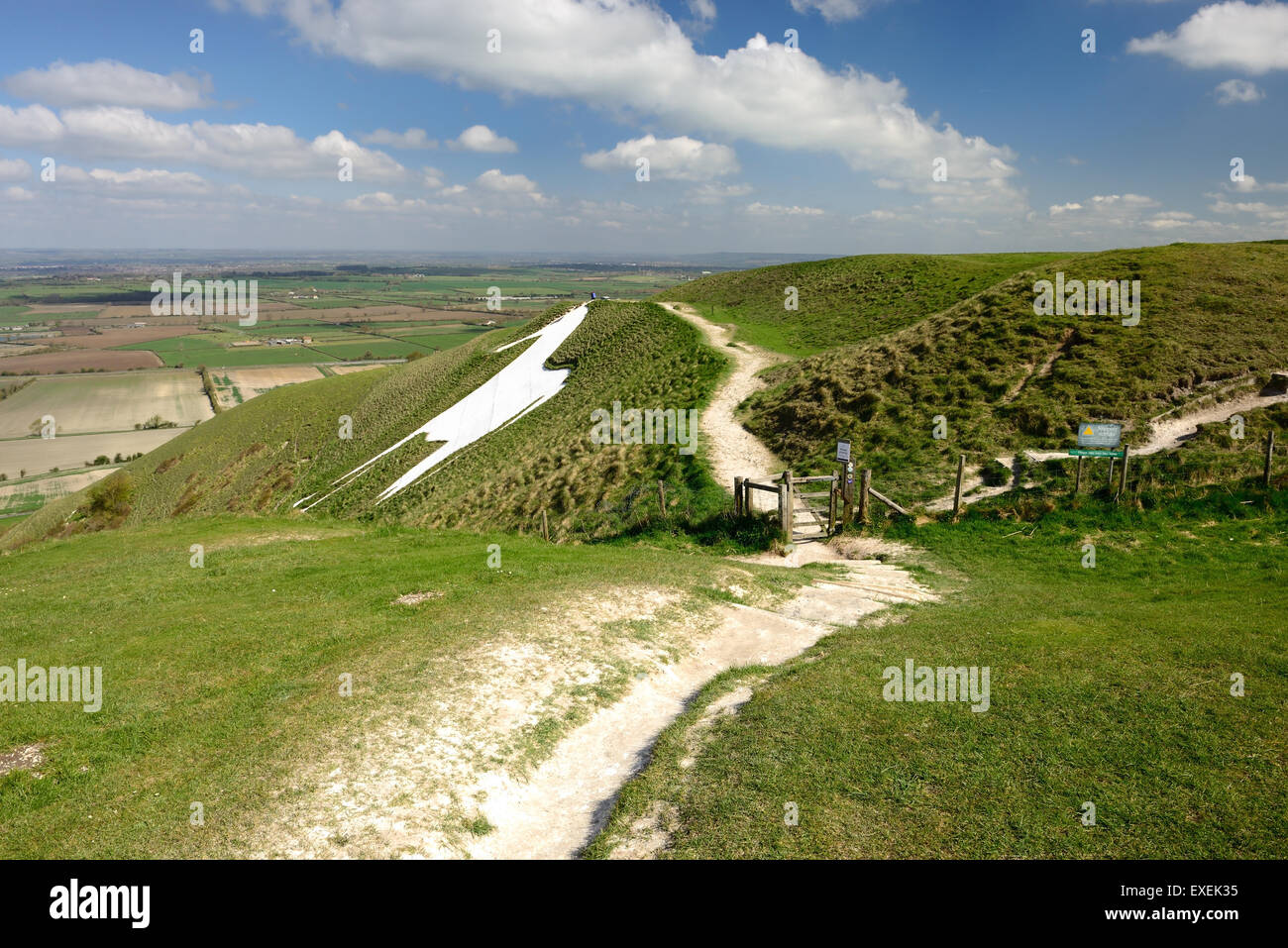 Westbury white horse (Bratton Camp hillfort). Stock Photo
