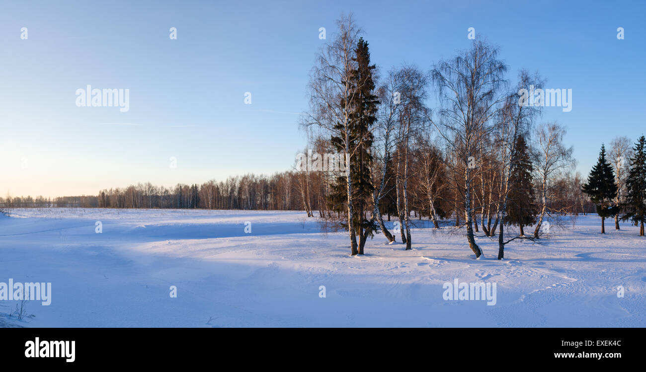 Winter landscape with frosty forest and blue sky Stock Photo - Alamy