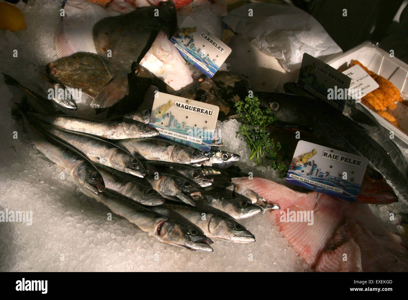 A display of fresh mackerel fish on ice, in a fishmongers market stall in Lille, France. Stock Photo