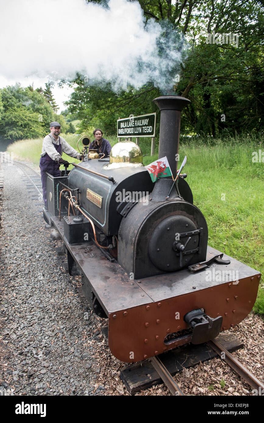 Liz and Dave driving a steam engine at Bala Lake Railway, Wales Stock Photo