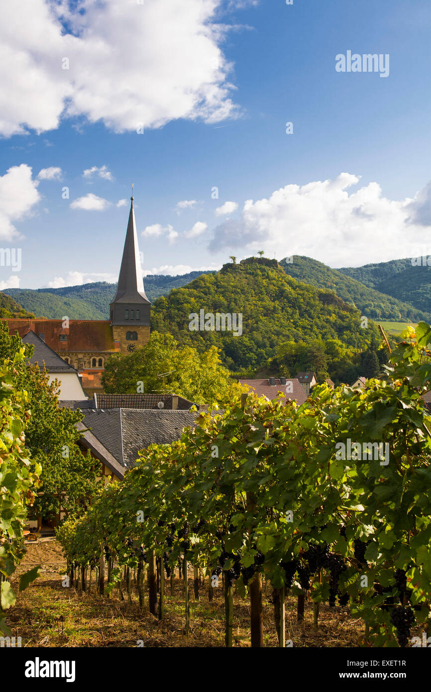 Europe, Germany, Rhineland-Palatinate, Eifel region, the village Mayschoss at the river Ahr, St. Nikolaus und St. Rochus church. Stock Photo