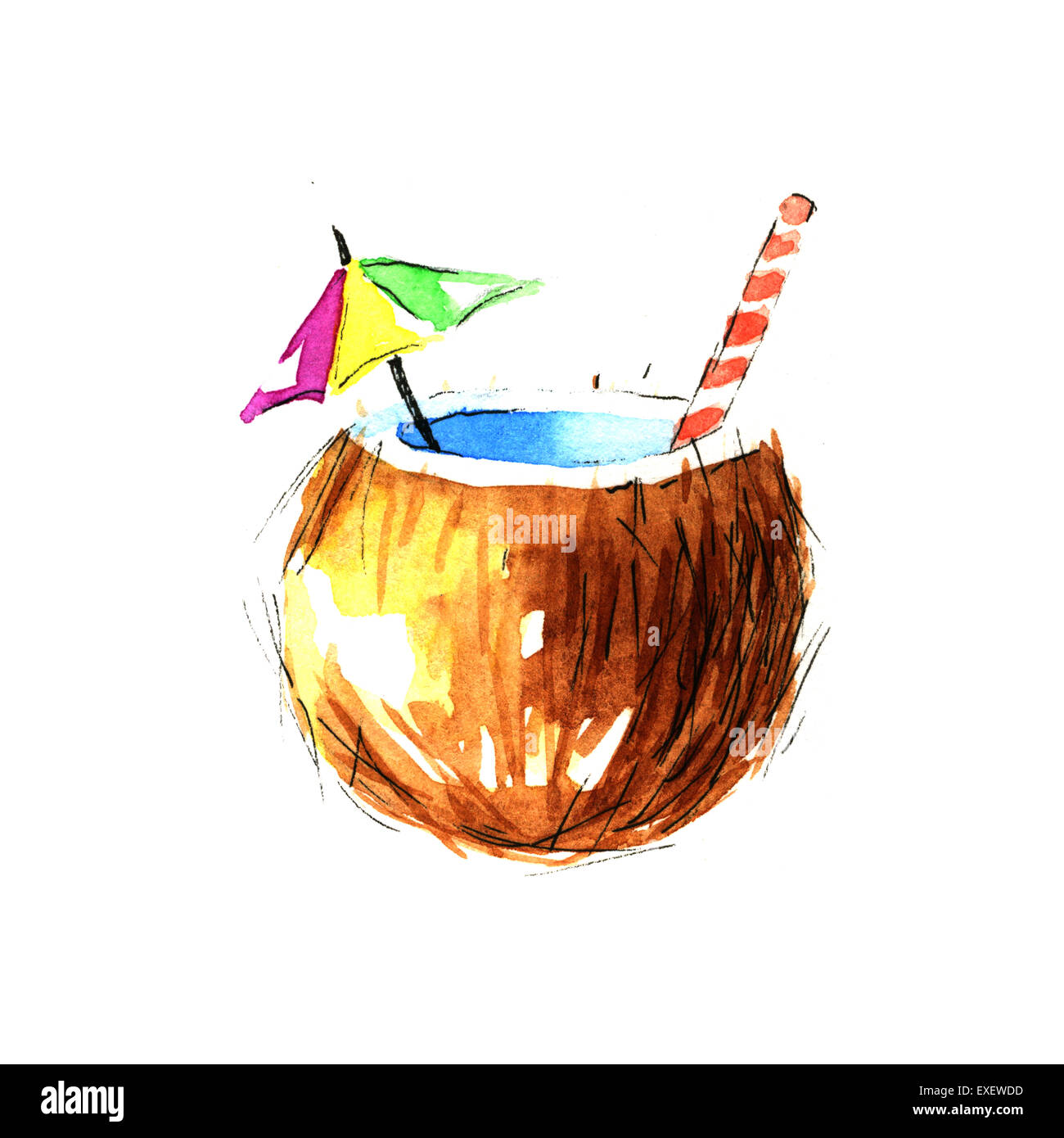 Coconut sketch hires stock photography and images Alamy