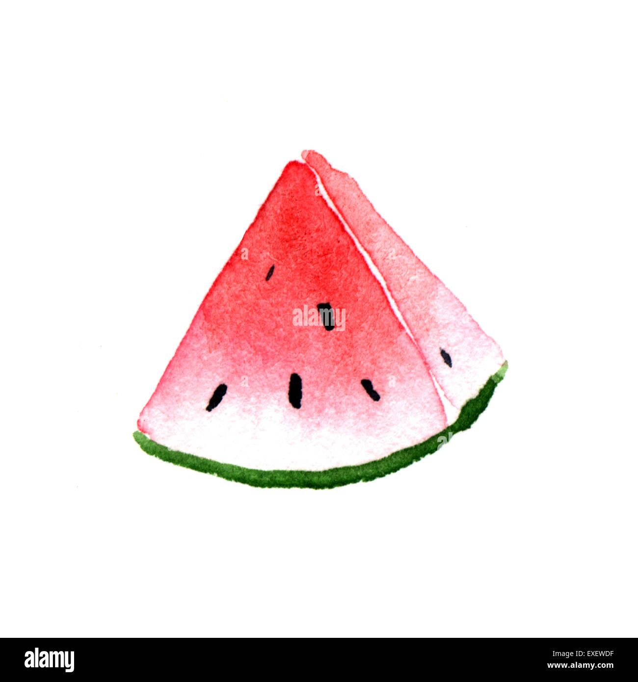 Slice of watermelon. Watercolor illustration on a white background ...