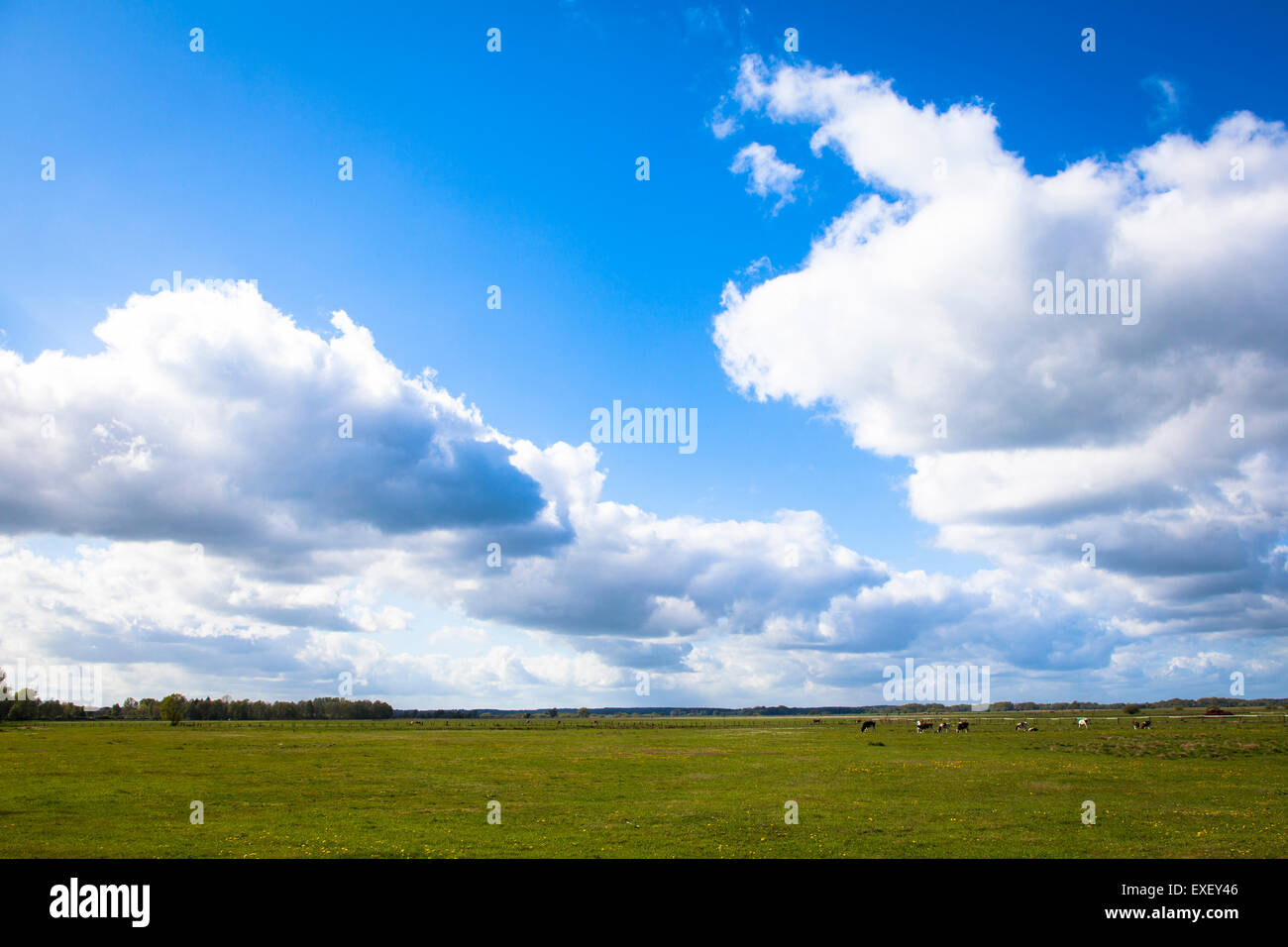 Europe, Germany, Lower Saxony, Worpswede, the meadows at the river Hamme, Teufelsmoor.  Europa, Deutschland, Niedersachsen, Worp Stock Photo