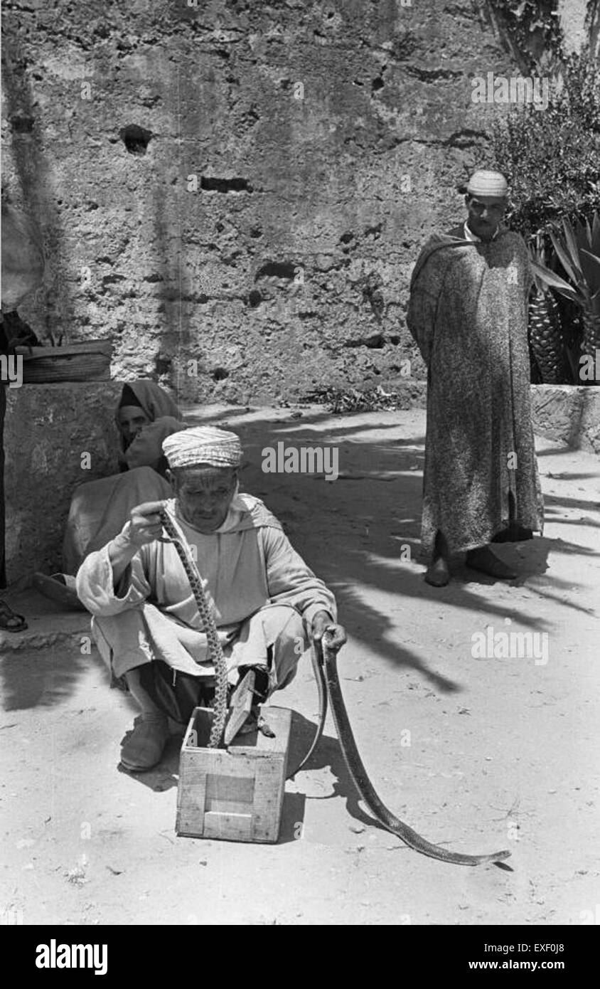 Slangenbezweerder Snake charmer Stock Photo Alamy