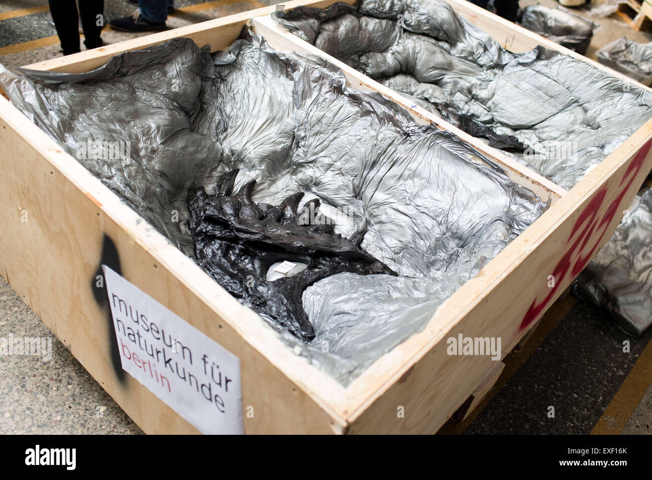 Berlin, Germany. 13th July, 2015. Parts of the lower jaw of a Tyrannosaurus rex named 'Tristan Otto' found in Montana, USA, are on display in a box during a press presenation at the Museum of Natural History in Berlin, Germany, 13 July 2015. The skull is the first part of the dinosaur that was shipped to Germany to be examined and showcased in an exhibition for three years from December 2015 on. Photo: GREGOR FISCHER/dpa/Alamy Live News Stock Photo
