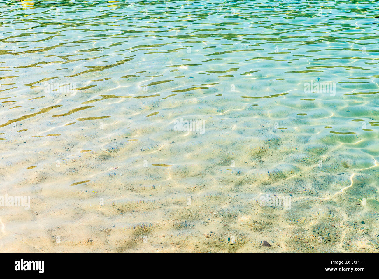 Shallow crystal clear stream hi-res stock photography and images - Alamy