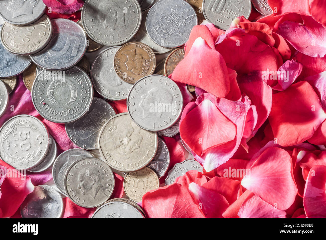 Old coins from different countries with a background of roses Stock ...