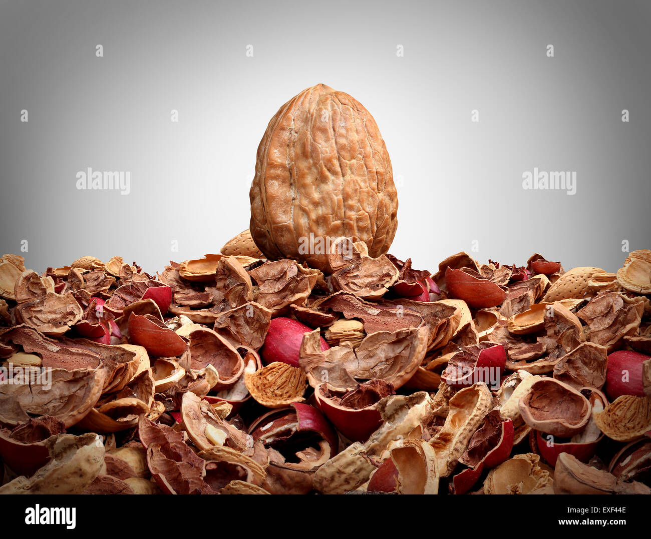 Tough nut to crack business concept as a solid hard closed walnut on top of a mountain of broken nut shells as a metaphor for difficulty solving a problem or difficult person symbol as a metaphoric icon for tenacity and indiiduality. Stock Photo