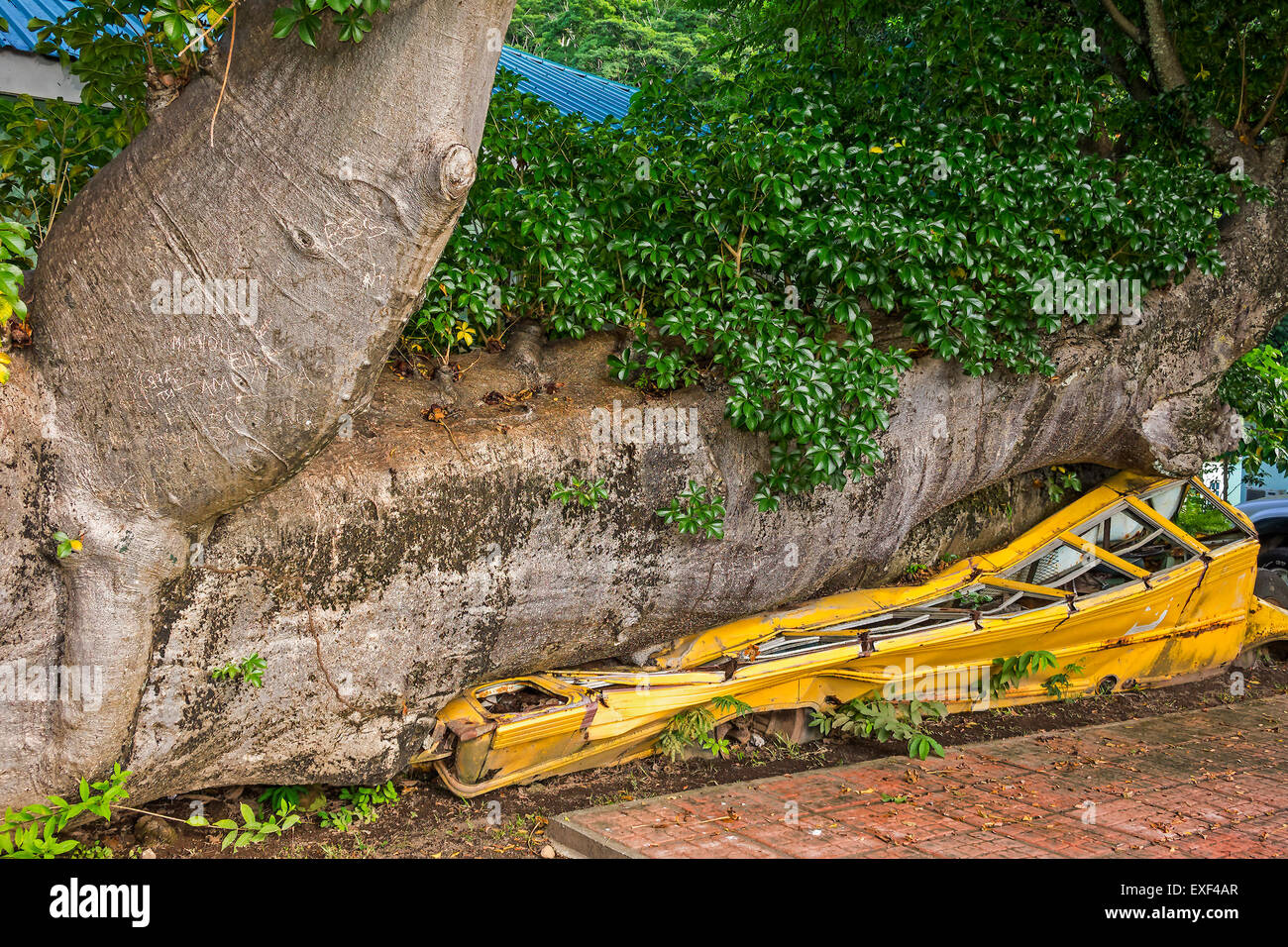 Crushed bus hires stock photography and images Alamy