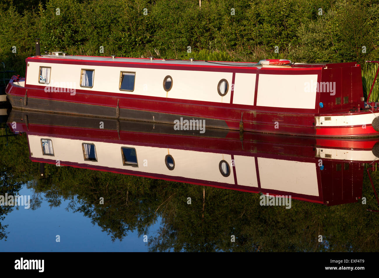 Narrowboat reflecting evening light in the Forth & Clyde Canal, Falkirk, Stirling Stock Photo