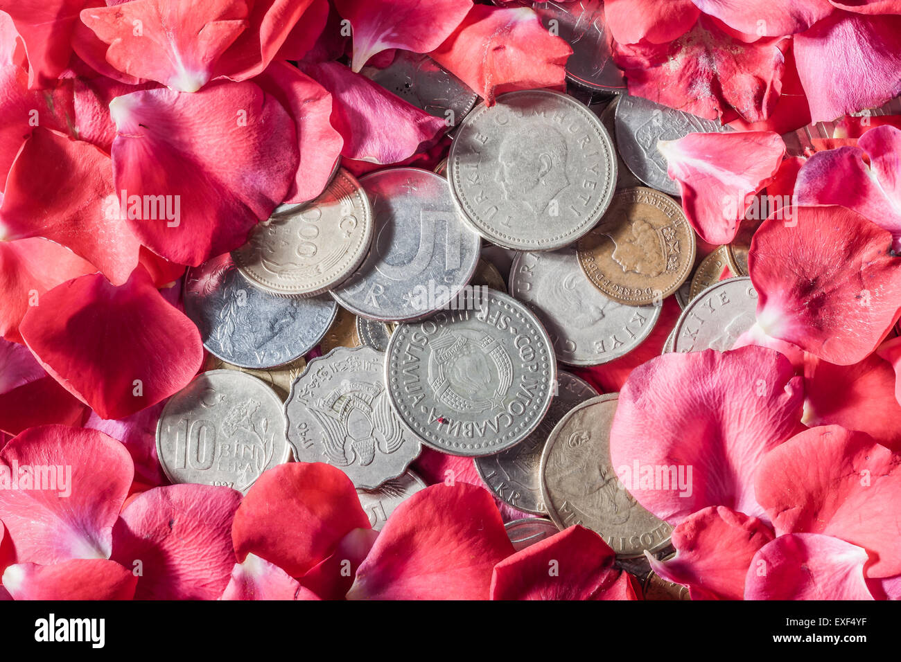 Old coins from different countries with a background of roses Stock ...