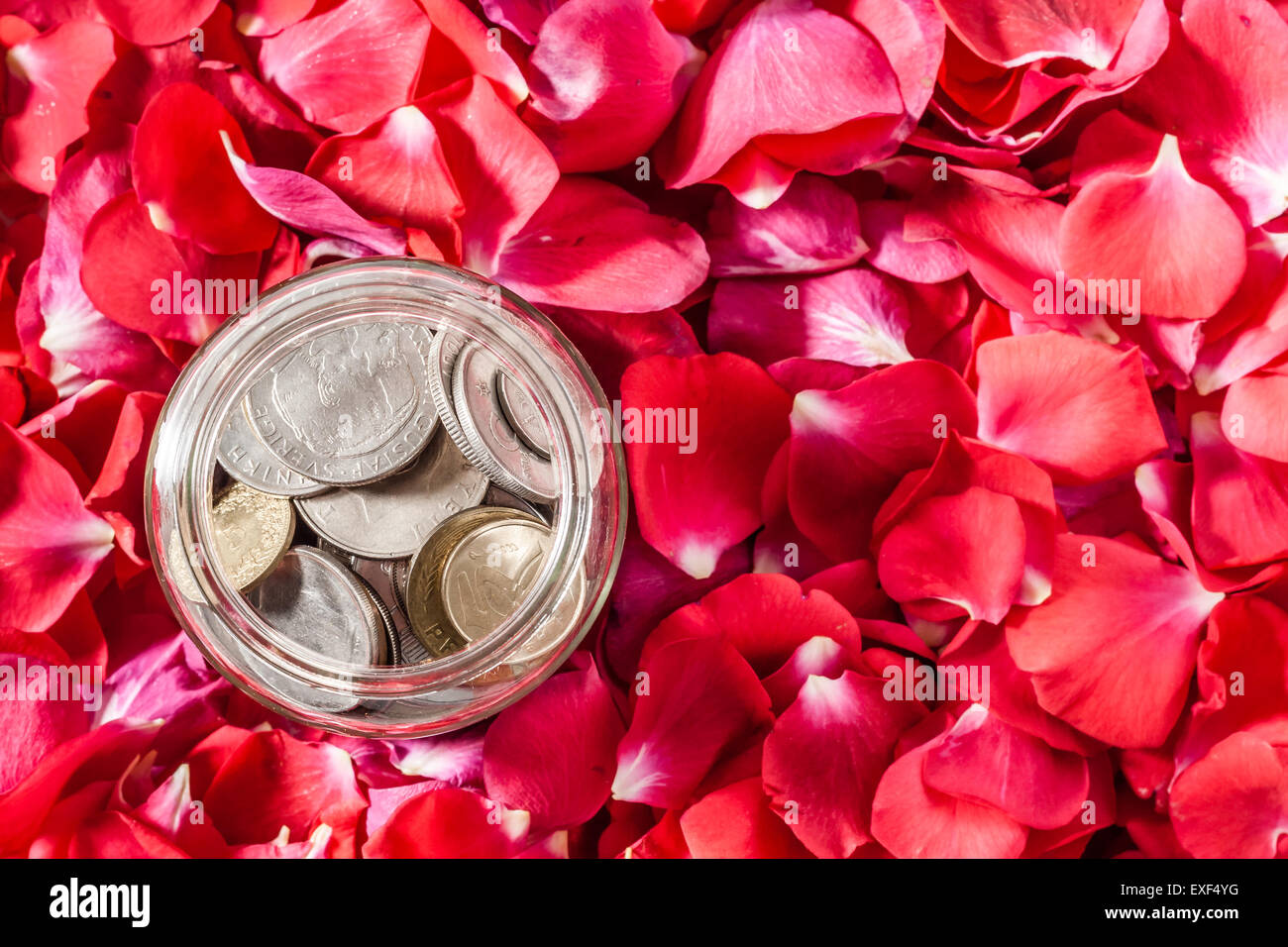 Rose and nature exchange hi-res stock photography and images - Alamy