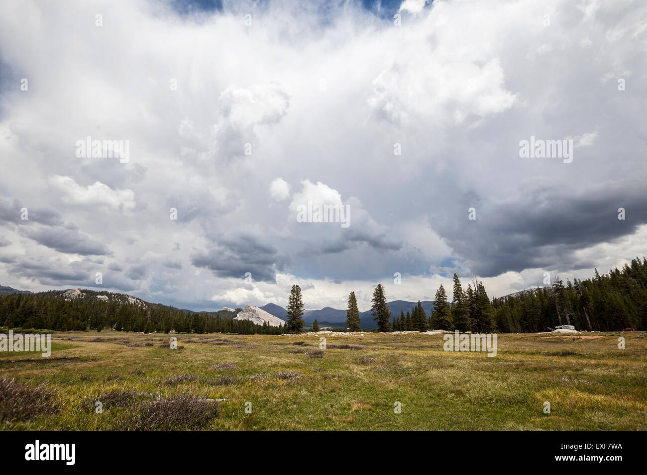 Summer storm growing over Toulumne Meadows in California's Yosemite National Park. Stock Photo