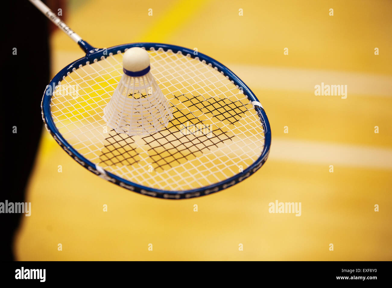 Shuttlecock on top of badminton racket Stock Photo