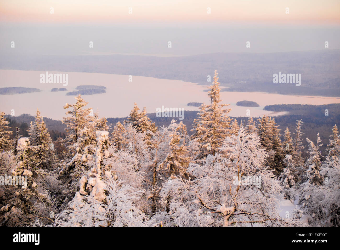 View of snow covered tree tops and distant lake, Nizhniy Tagil, Sverdlovsk Region, Russia Stock Photo