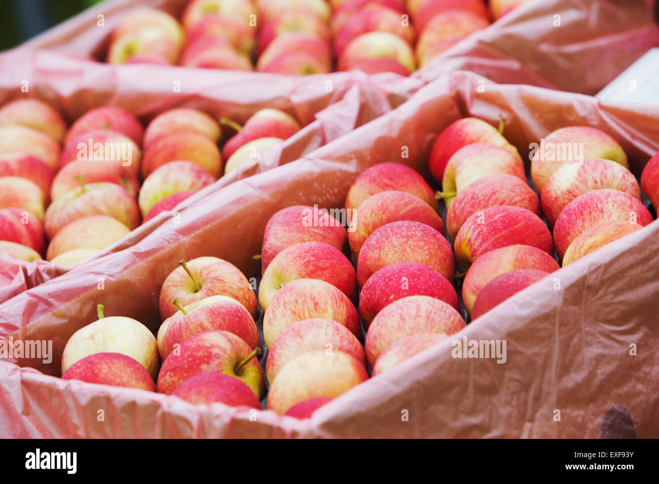 Apple display at grocers Stock Photo