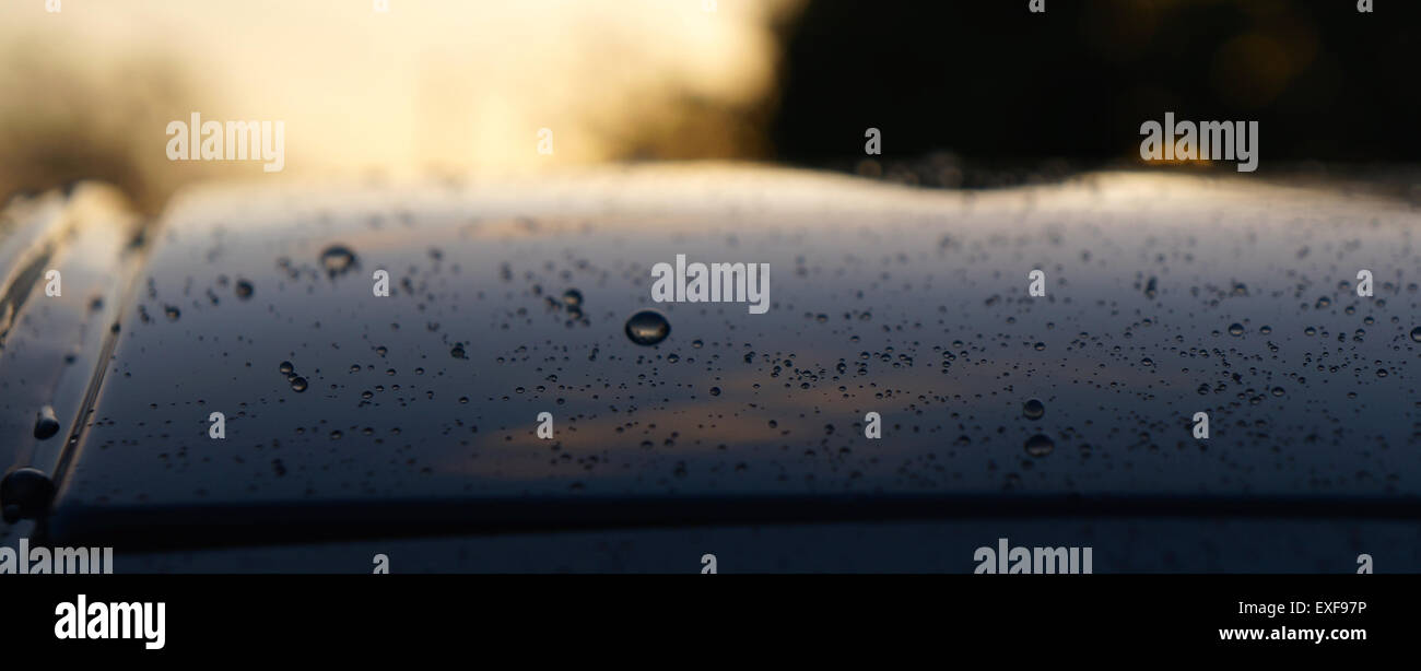Water drops on a car roof Stock Photo