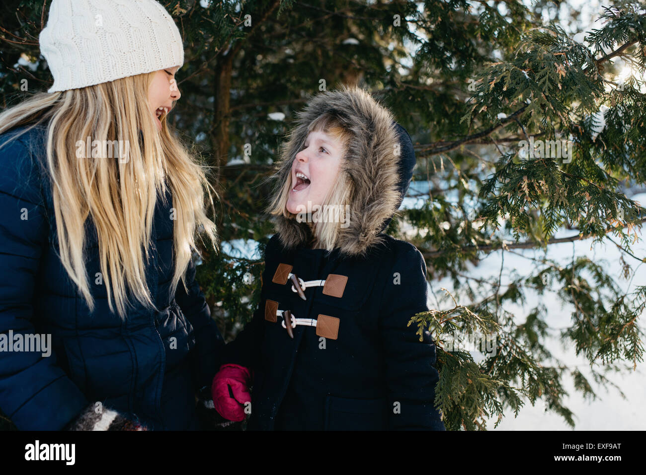 Sisters playing in the snow Stock Photo - Alamy
