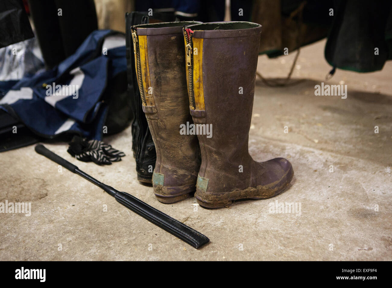 Horse riding boots and crop Stock Photo