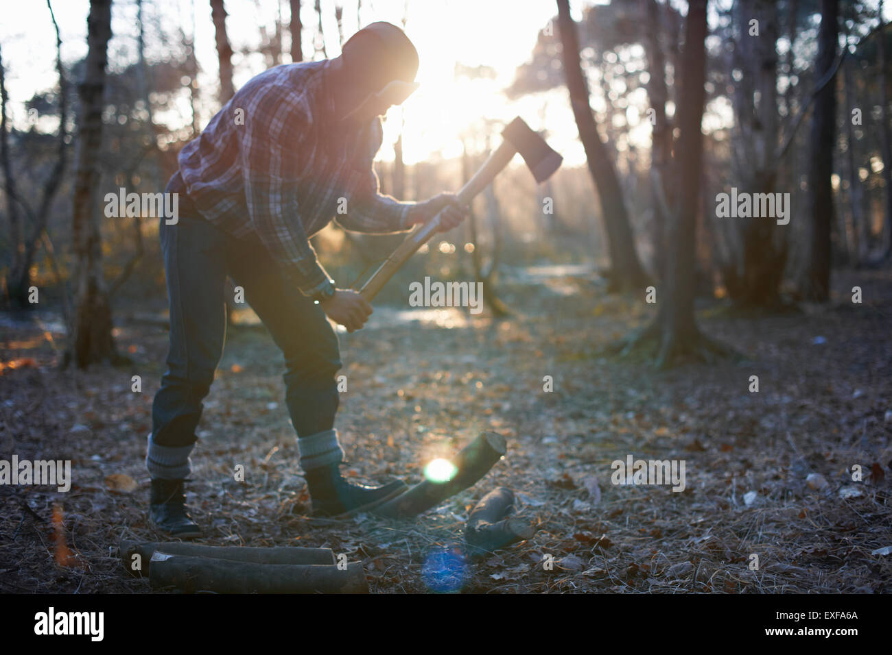 Mature male backpacker chopping logs for campfire in forest Stock Photo