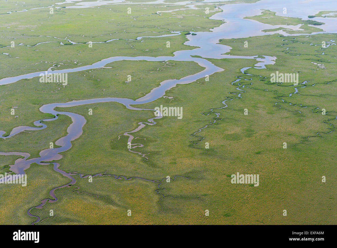 Aerial view of marshes and mangrove forest at Sian Ka'an natural reserve, Quintana Roo, Mexico Stock Photo
