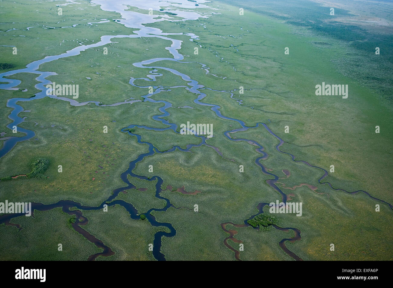 Aerial view of wetland waterways at Sian Ka'an natural reserve, Quintana Roo, Mexico Stock Photo