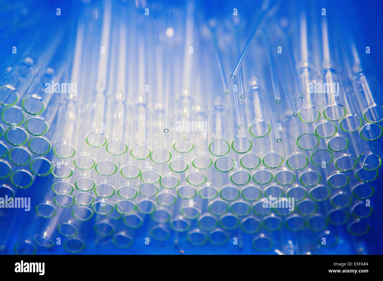 Low angle view of large group of glass test tubes Stock Photo