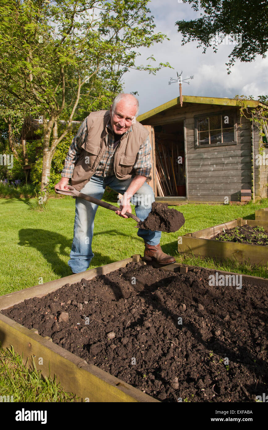 Senior man, digging soil in garden Stock Photo