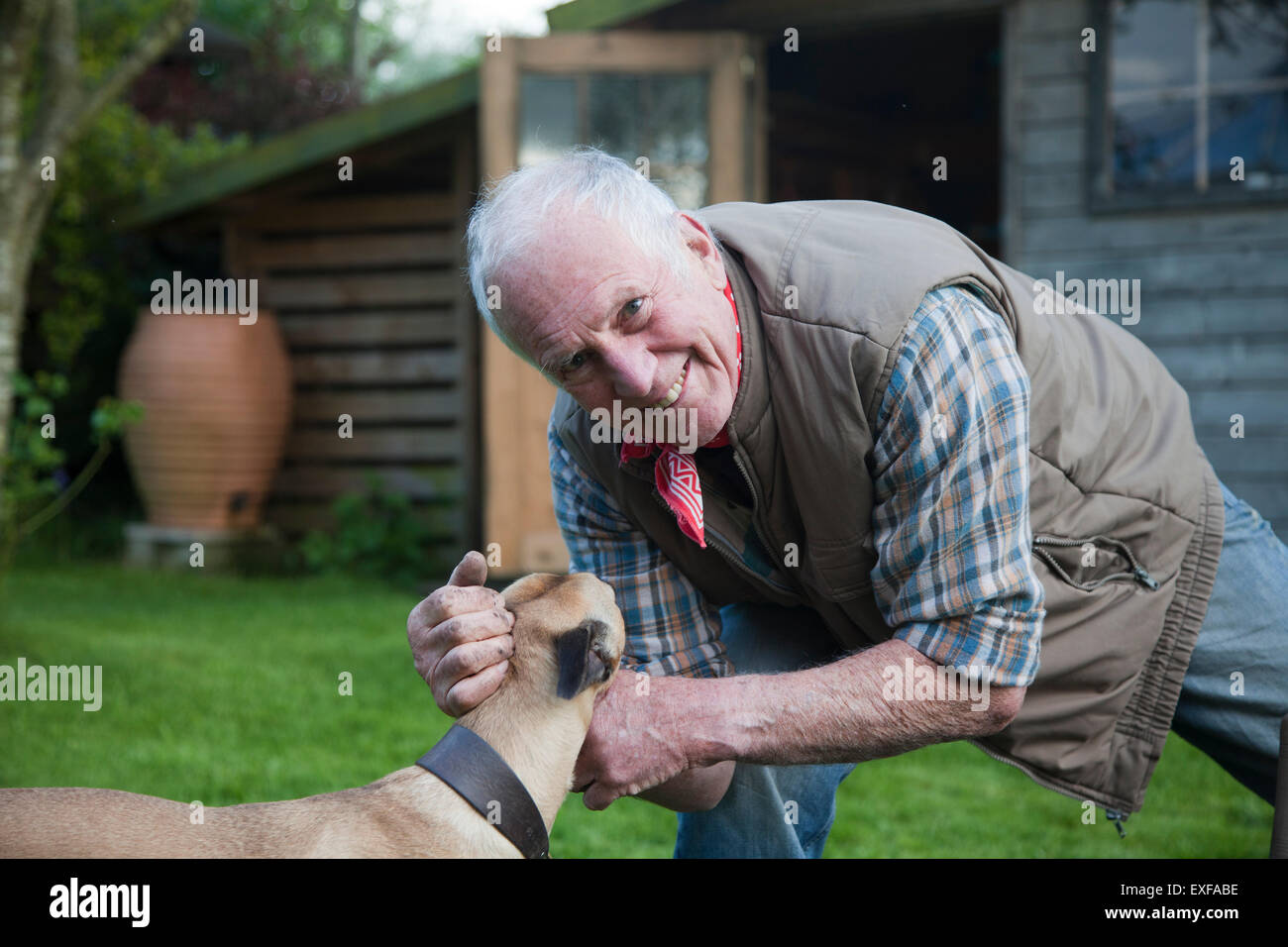 Senior man, stroking pet dog in garden Stock Photo