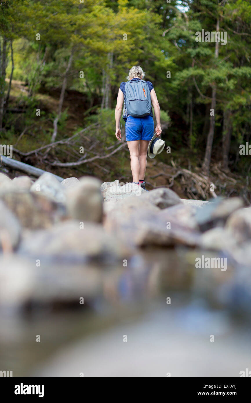 Hiker walking among stones in shallow stream, Waima Forest, North Island, NZ Stock Photo