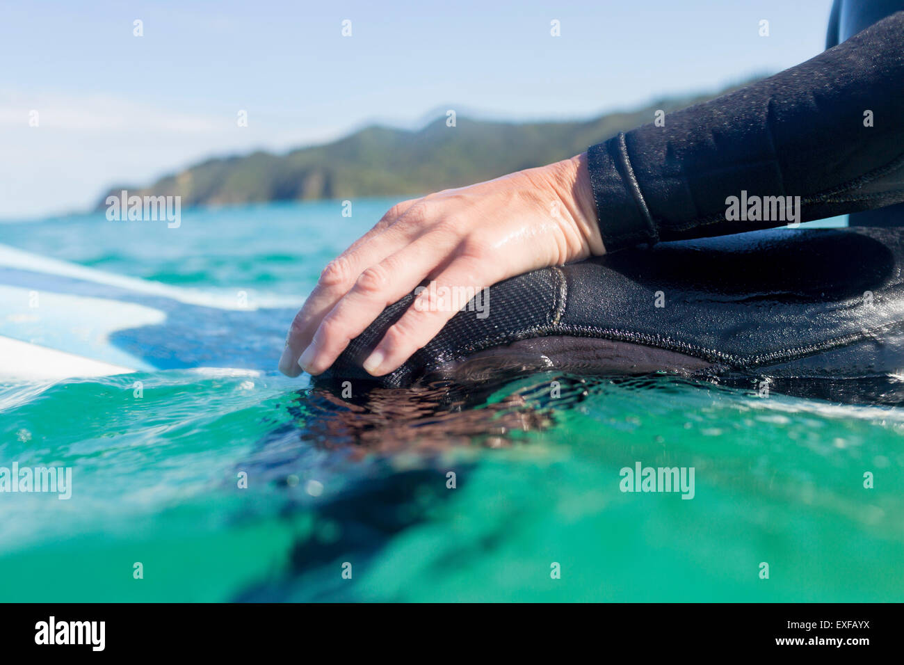 Hands of surfer in the water, Bay of Islands, NZ Stock Photo