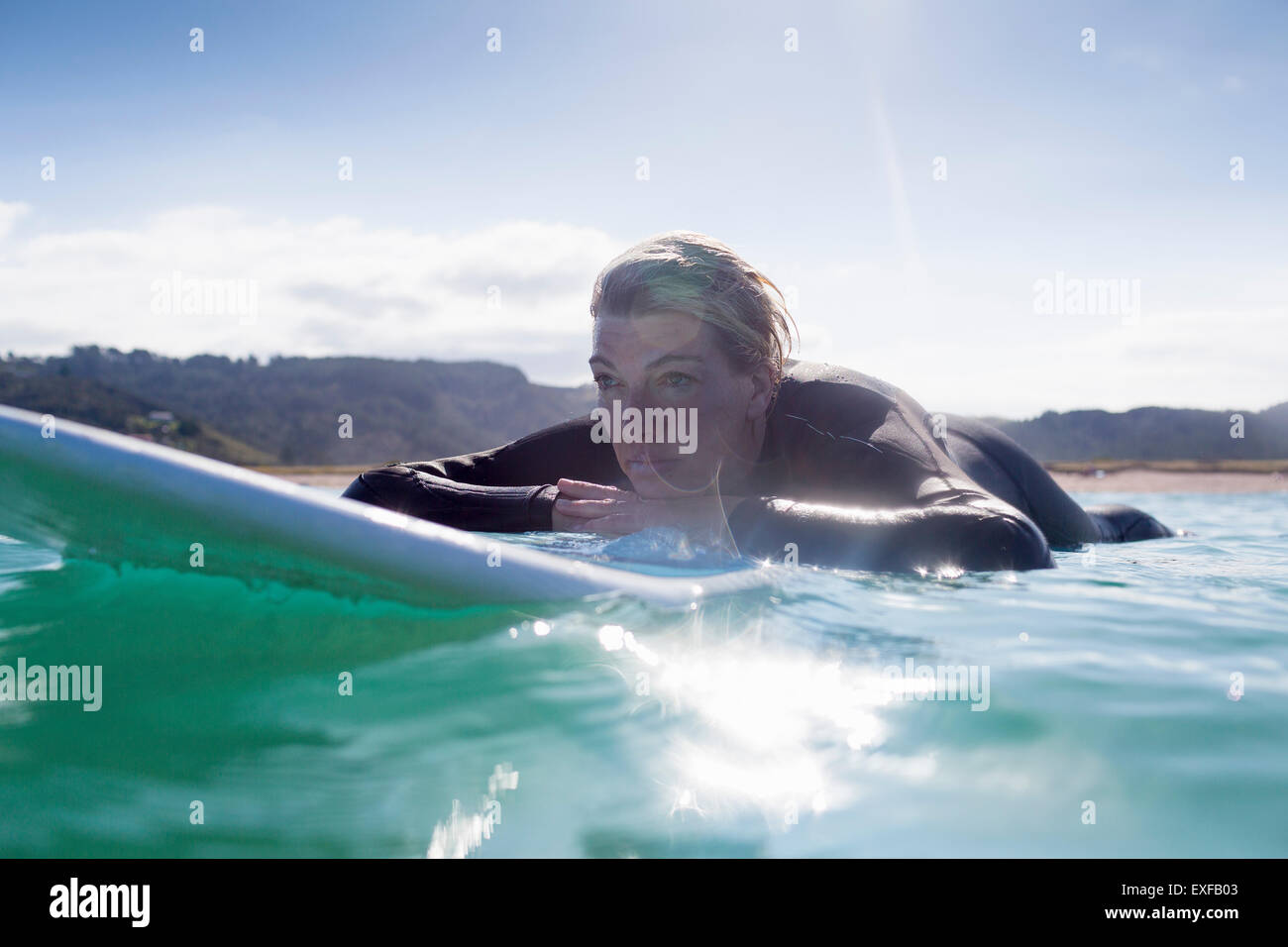 Surfer in the water, Bay of Islands, NZ Stock Photo