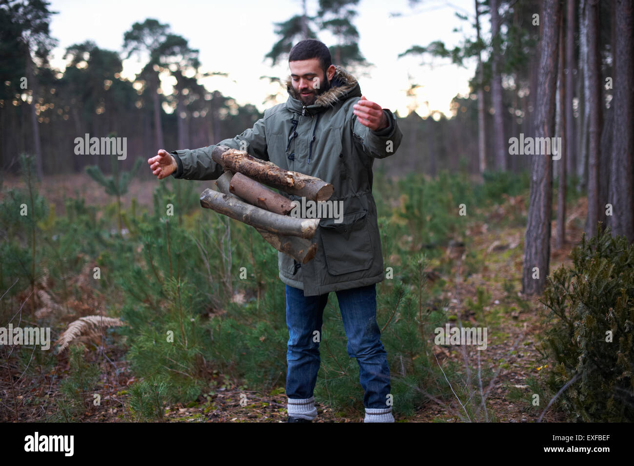 Young man dropping logs for campfire in forest Stock Photo