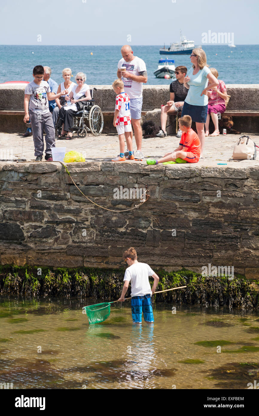 Crabbing at Swanage in June Stock Photo Alamy