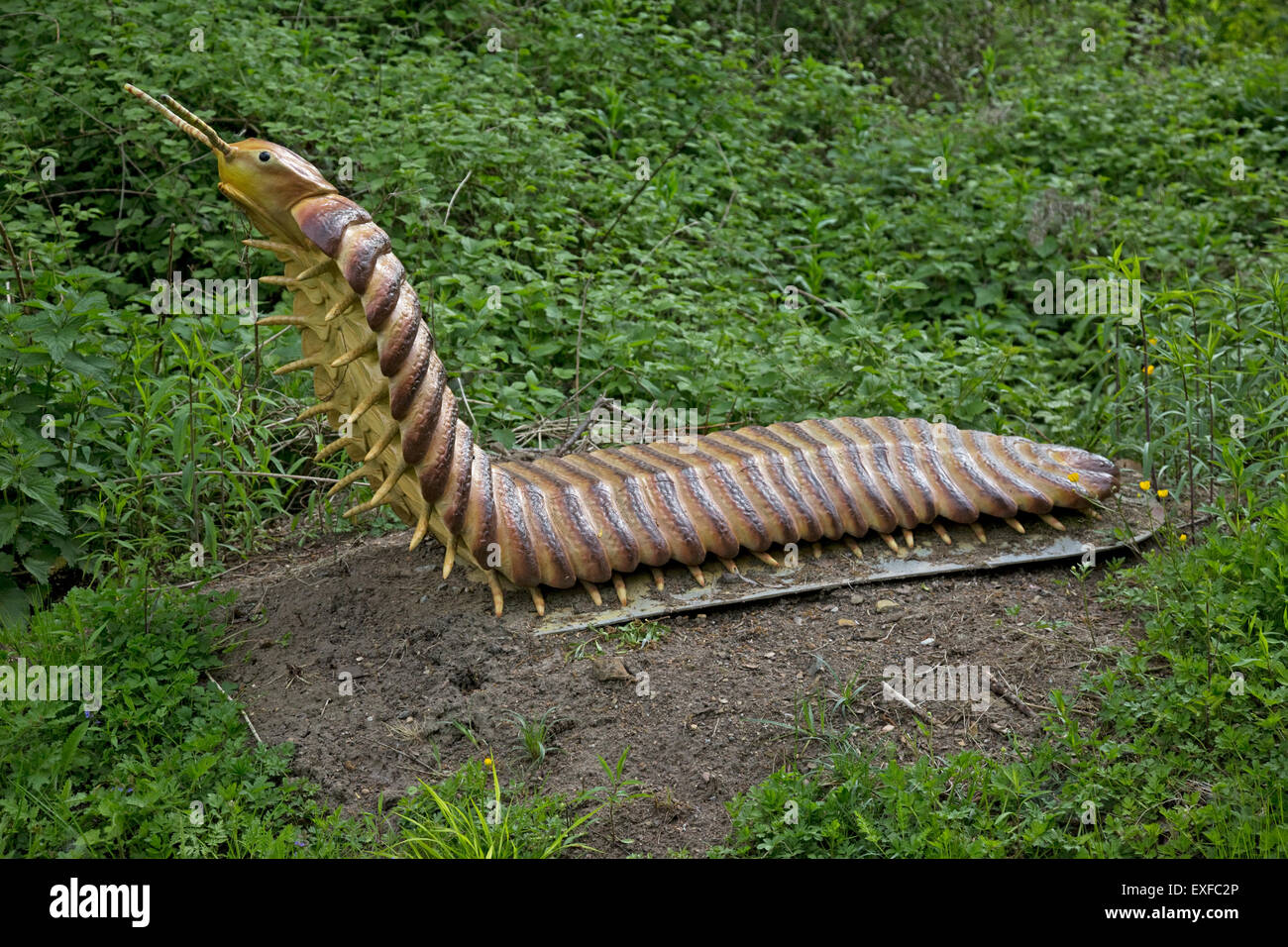 https://c8.alamy.com/comp/EXFC2P/arthropleura-is-an-extinct-giant-fossil-millipede-from-the-upper-carboniferous-EXFC2P.jpg