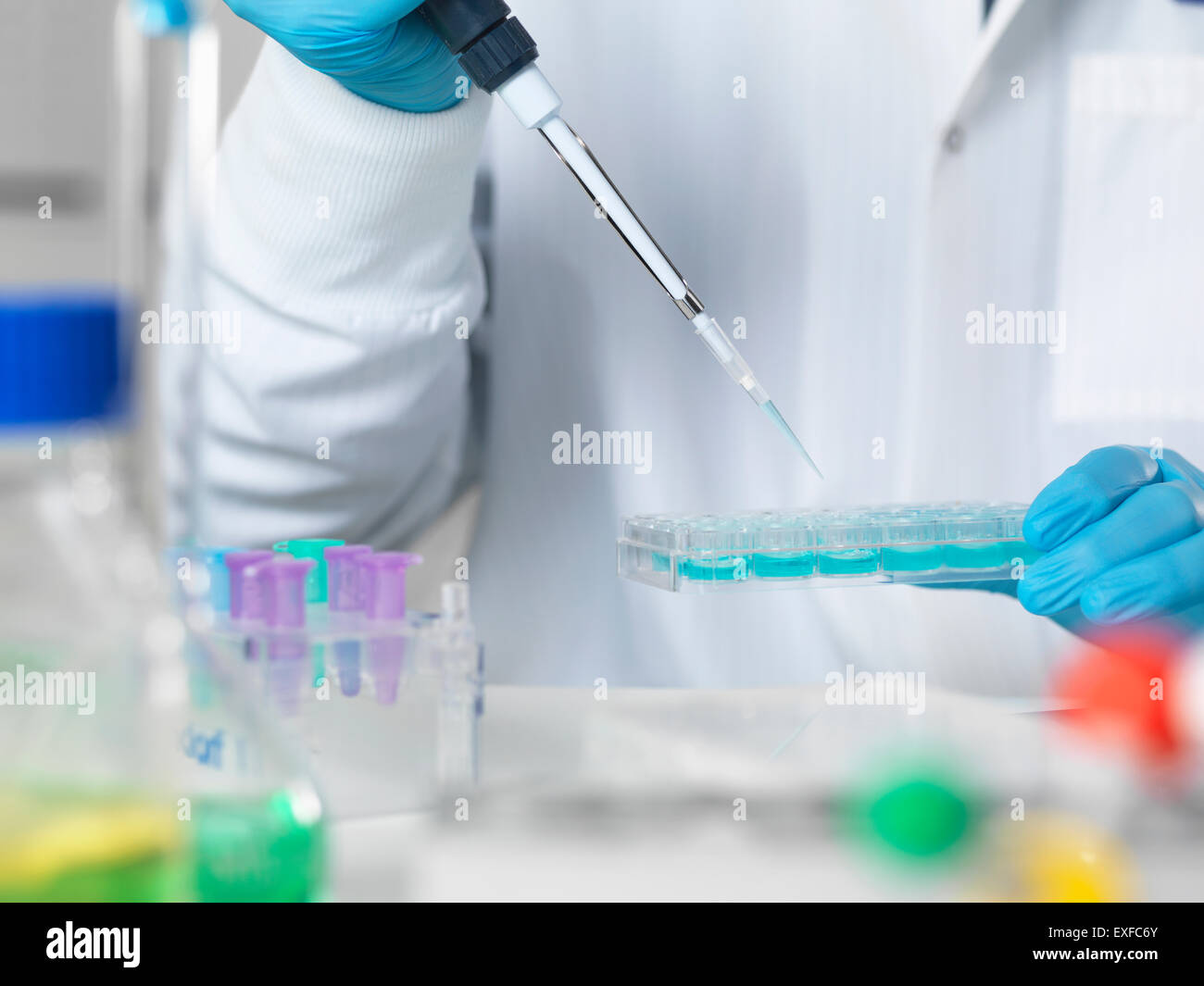 Scientist pipetting sample into multi well tray for analytical testing in laboratory Stock Photo