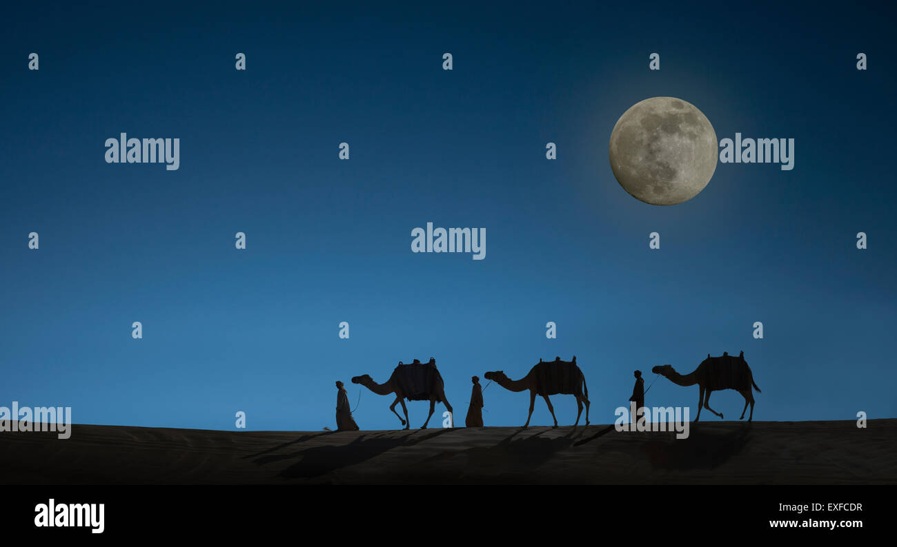 Camel caravan with night sky and full moon, Dubai, United Arab Emirates Stock Photo