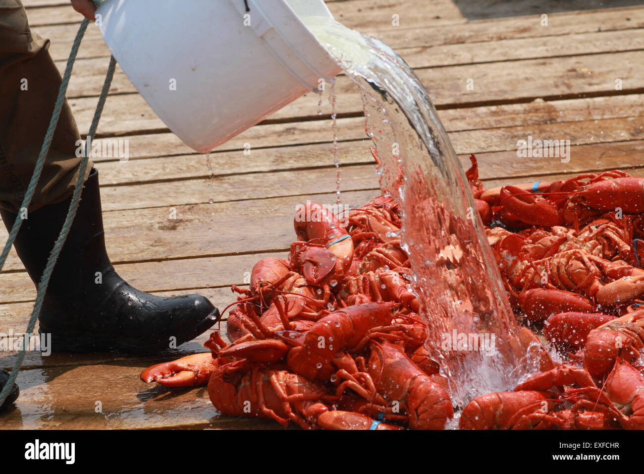 Lobster fishermen in Cape Breton, Nova Scotia Stock Photo Alamy