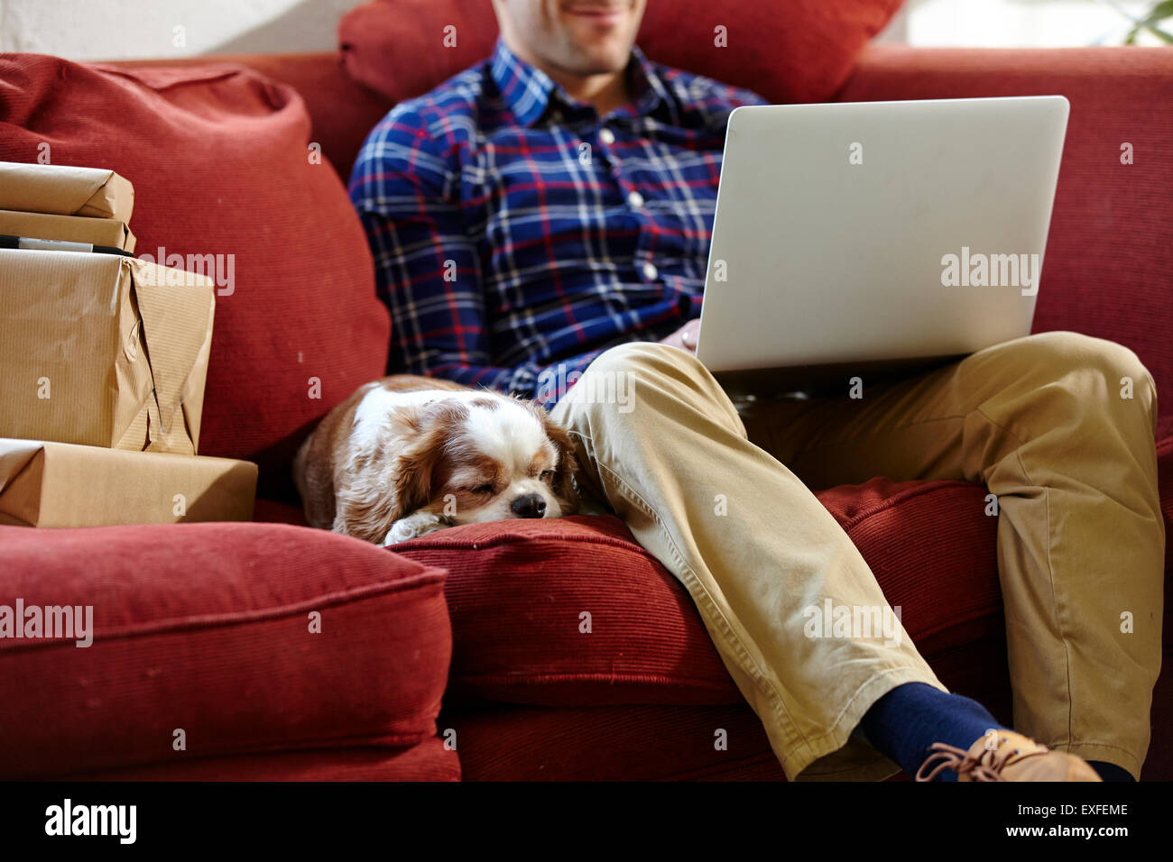 Mid adult man using laptop on sofa in picture framers showroom Stock Photo