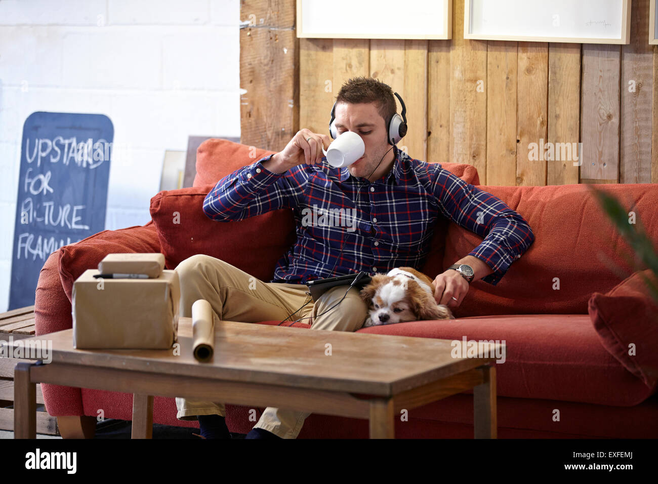 Mid adult man drinking coffee and petting dog in picture framers showroom Stock Photo