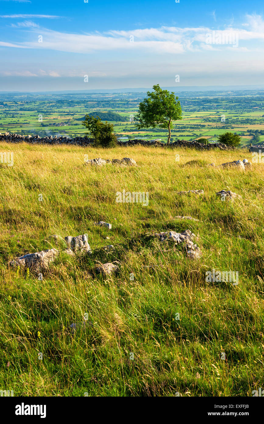 View over the Somerset Levels from the top of Cheddar Gorge in the Mendip Hills, near Cheddar, England. Stock Photo