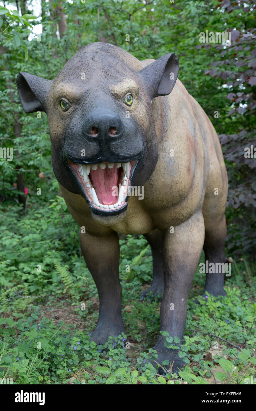 Hyaenodon an extinct carnivorous mammal from Eocene Dinosaurier Park