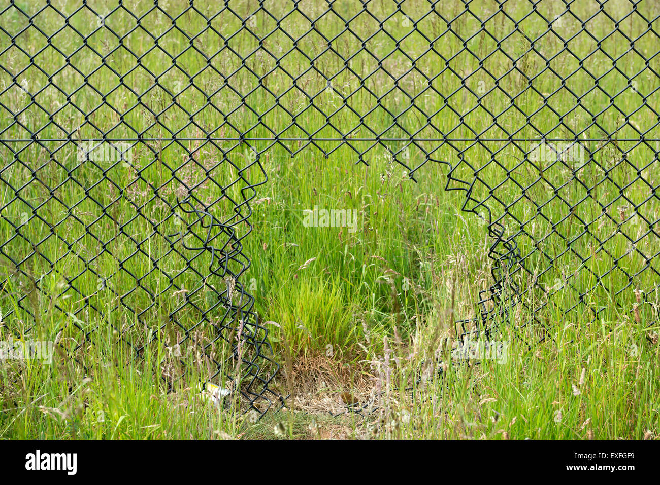 Hole in security fence Stock Photo Alamy