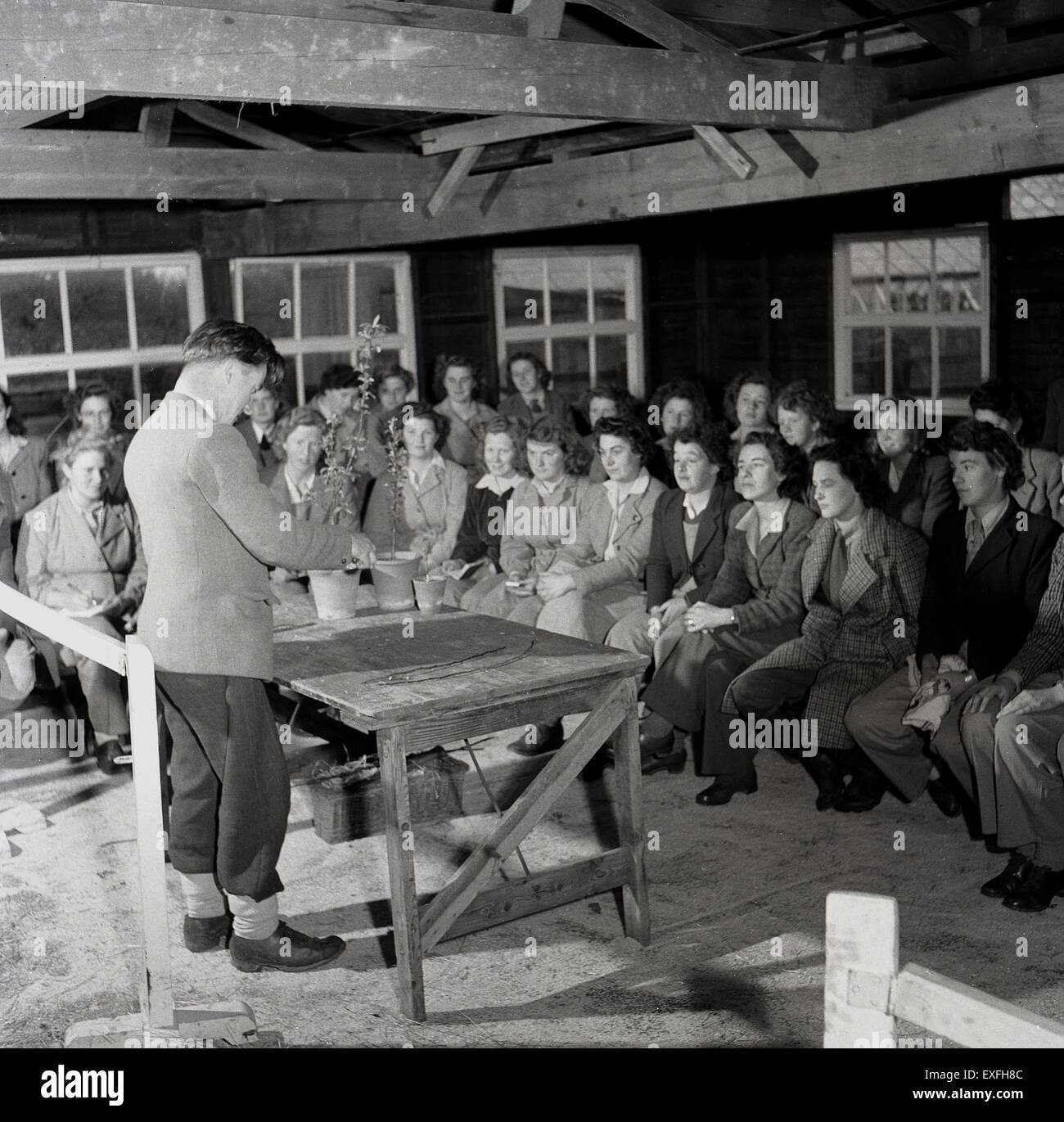 1950s historical picture of a group of young male and female students at a farm or agricultural college hut or workshop being taught propagation or how to take cuttings of plants. Stock Photo