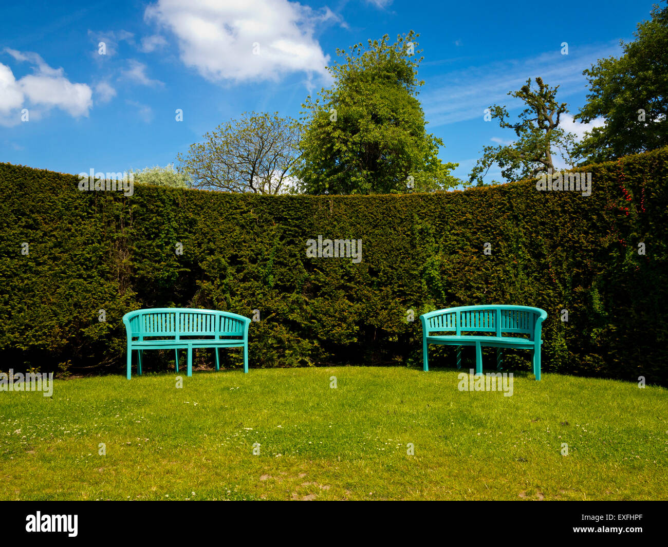 Two wooden benches in front of a curved high hedge in the garden at